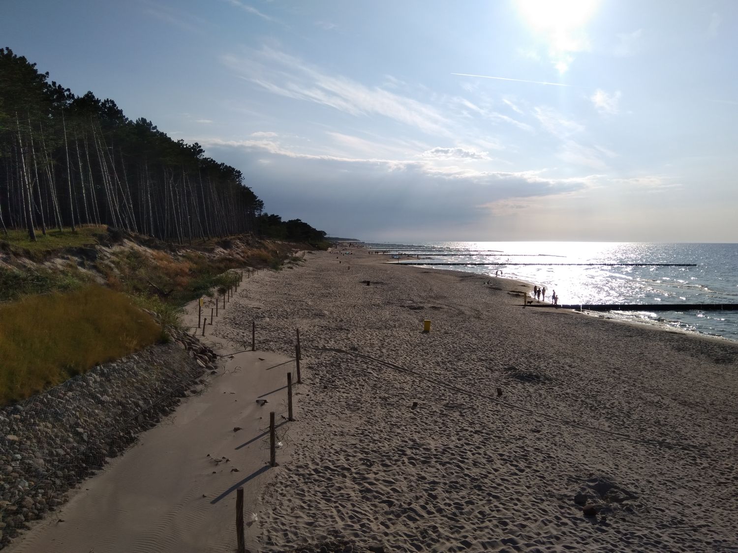 Galeria: Plaża